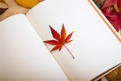 2021浙江成考与自考有什么区别？